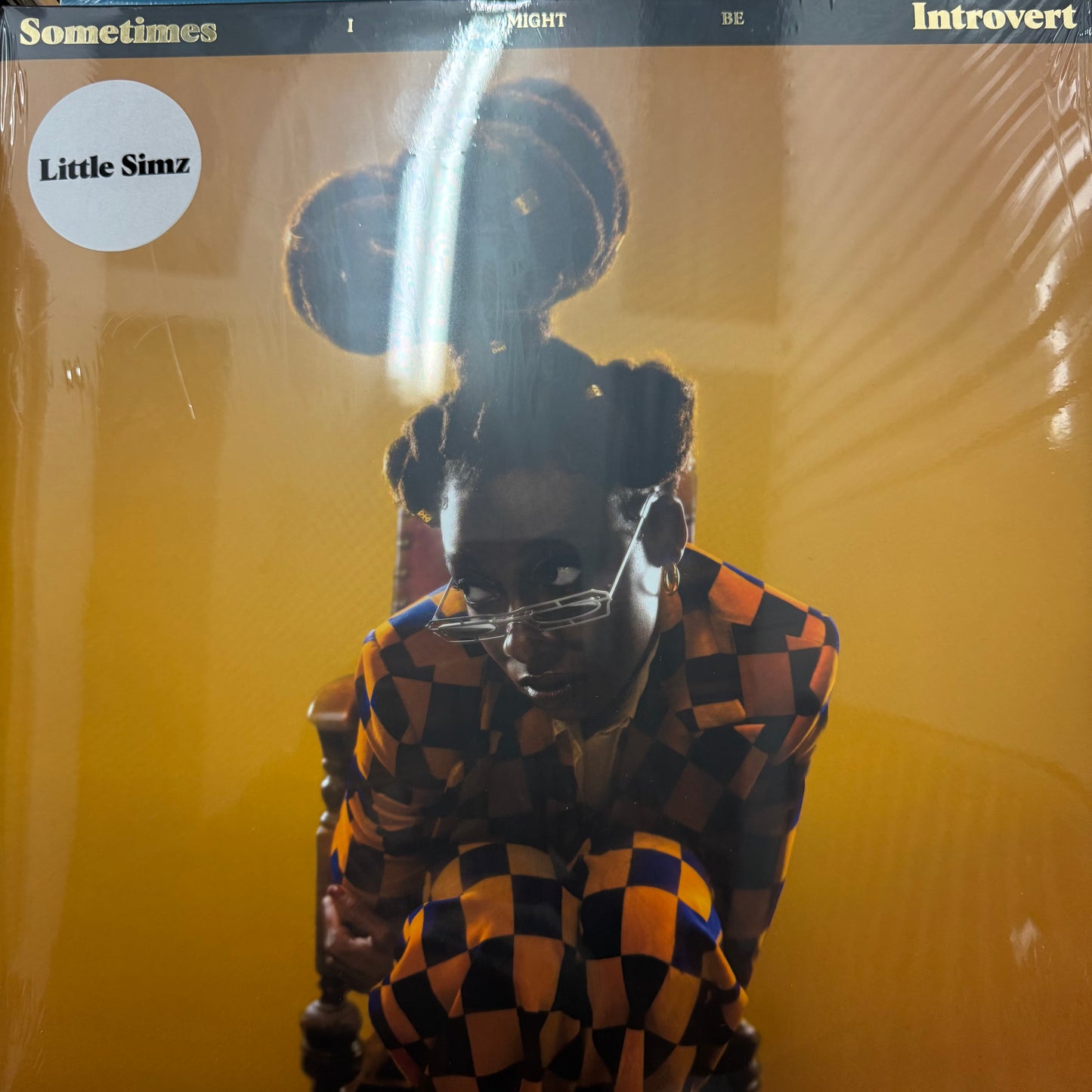 Little Simz - Sometimes I might be introvert