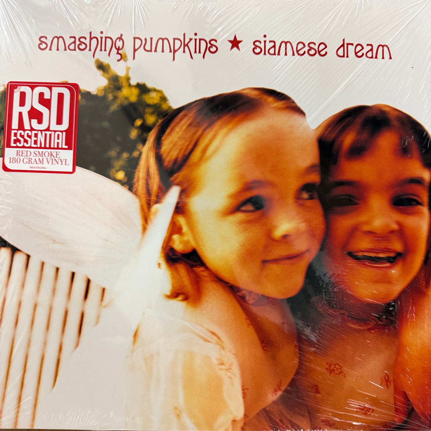 Smashing Pumpkins - Siamese Dream