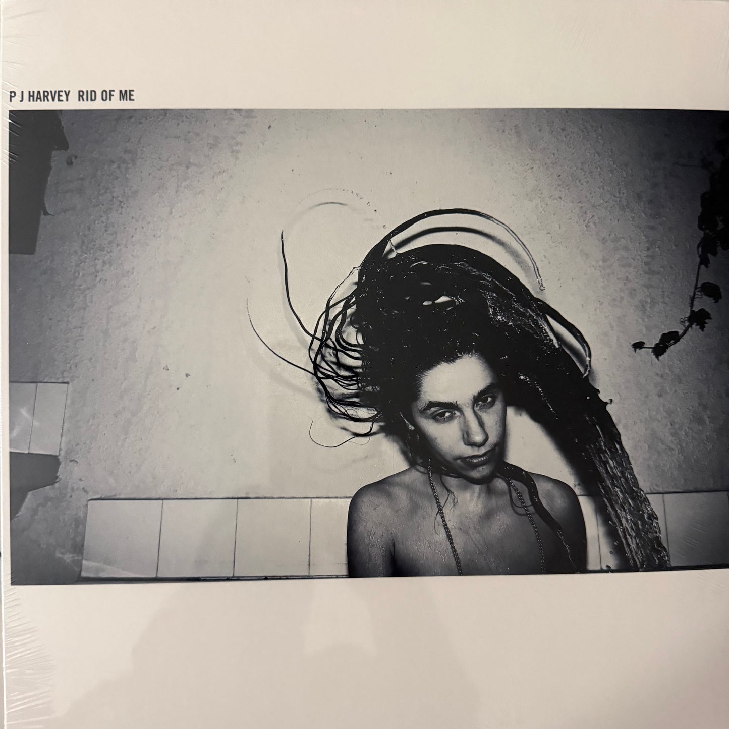 PJ Harvey - Rid of me