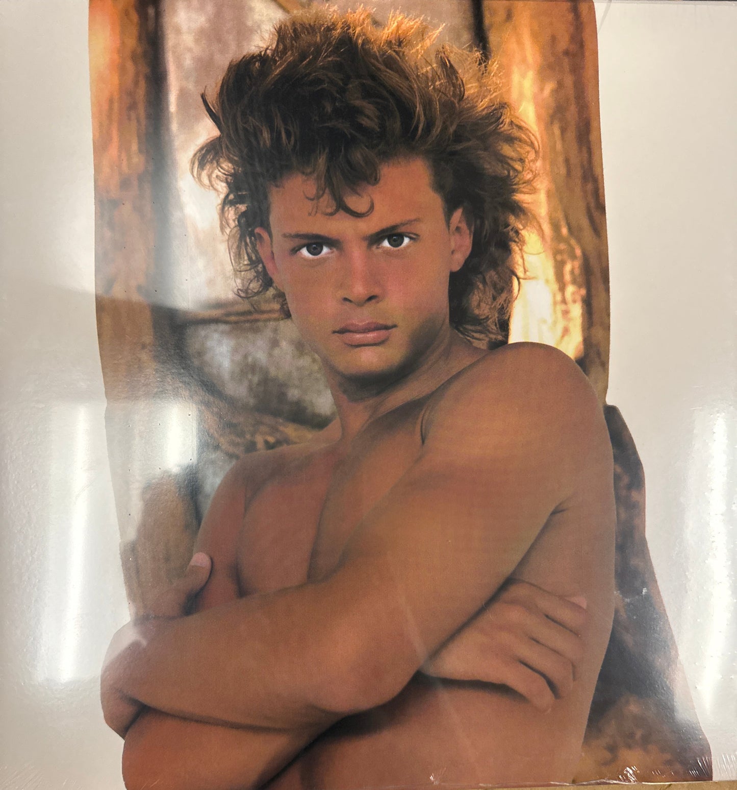 Luis Miguel - Busca una mujer