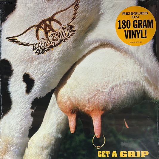 Aerosmith - Get a grip