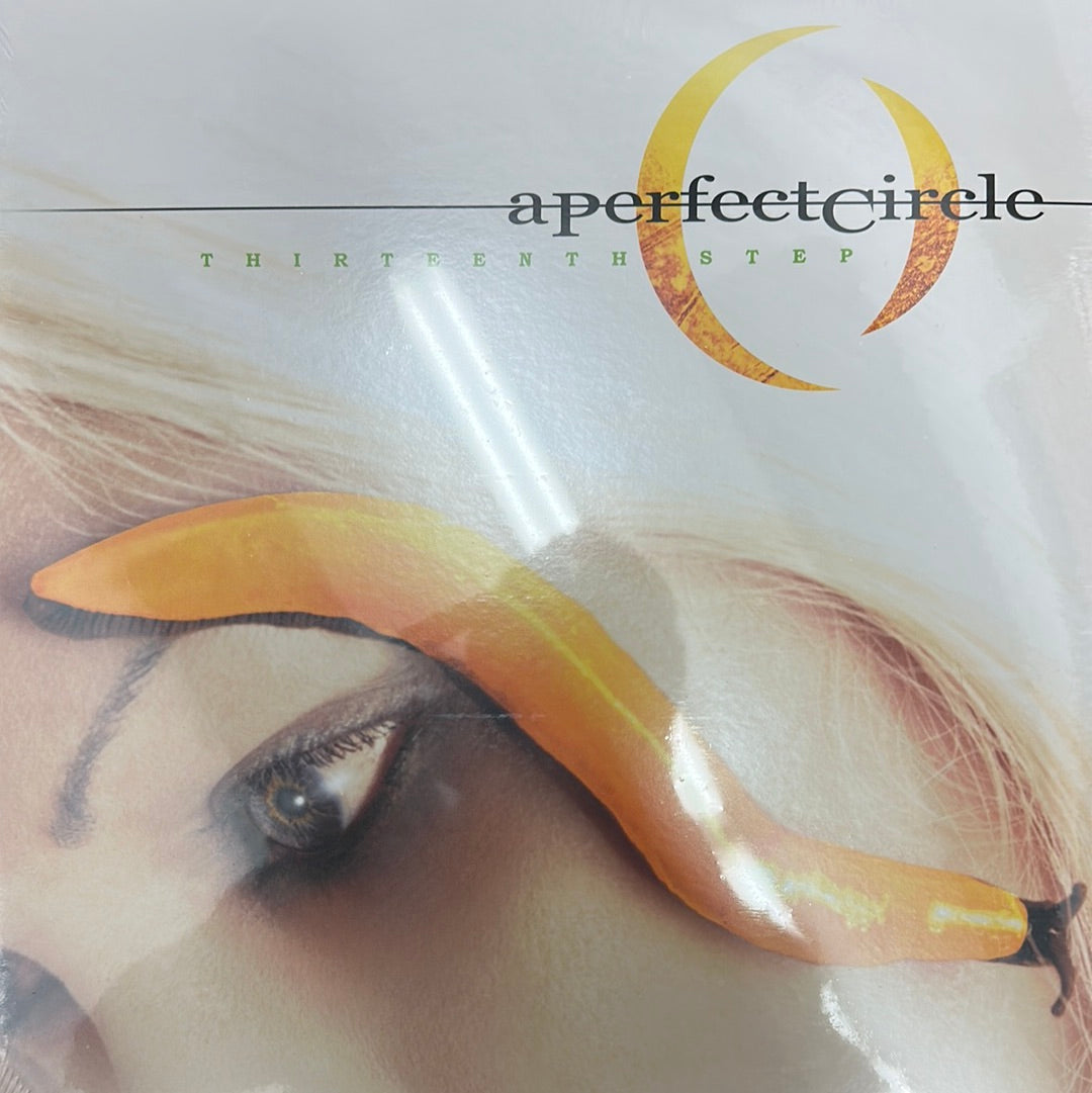 A perfect circle - Thirteenth step