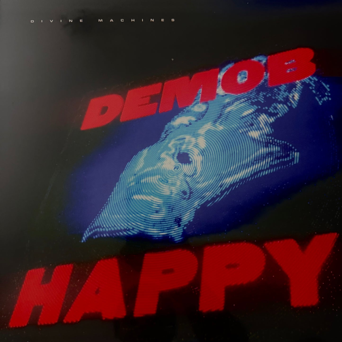 Demob Happy - Divine Machines