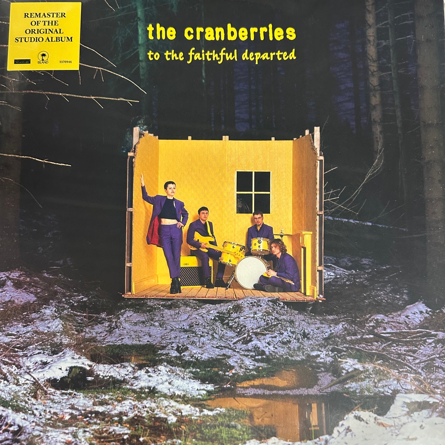 The cranberries - to the faithful departed