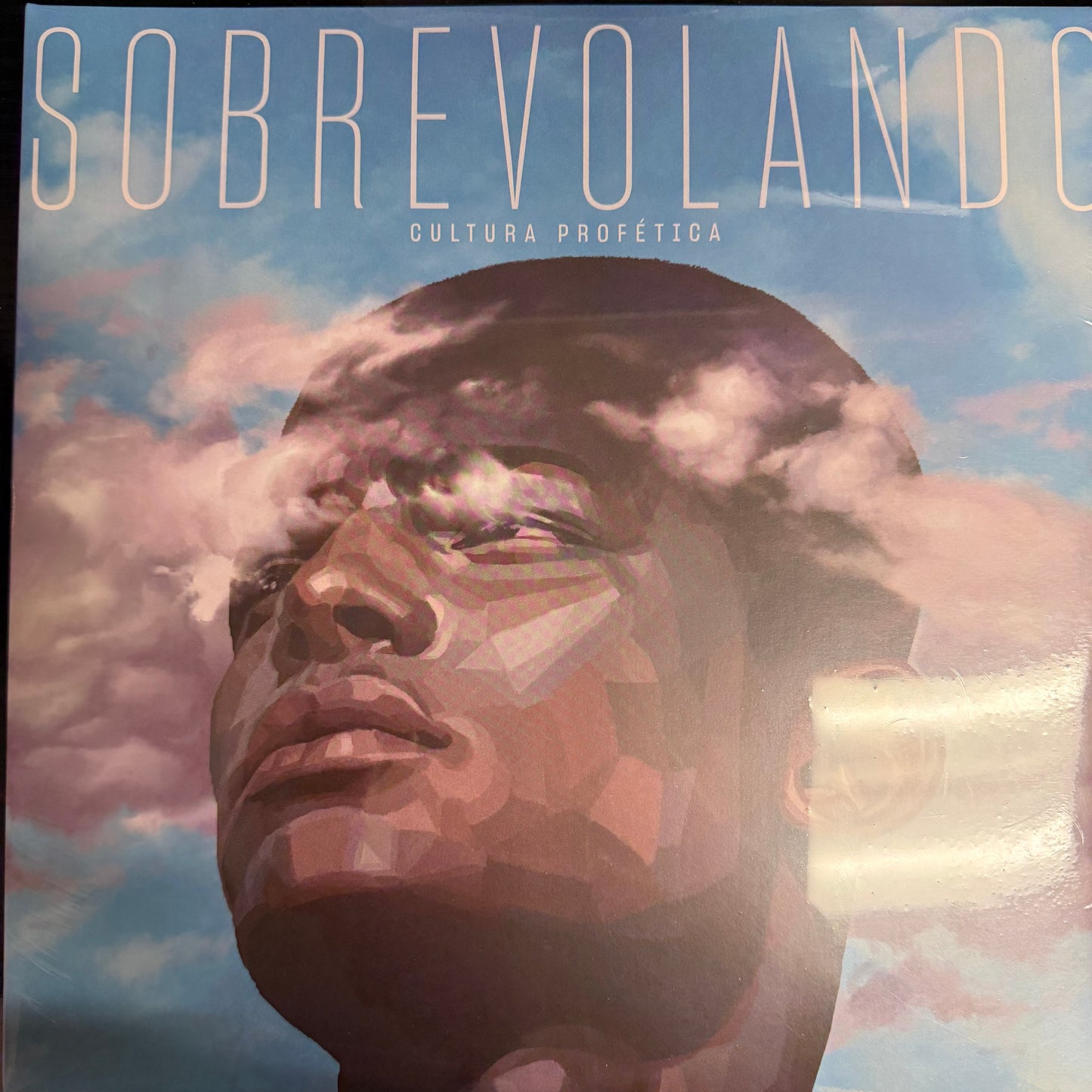 Cultura Profetica - Sobrevolando