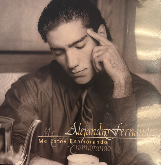 Alejandro Fernandez - Me estoy enamorando