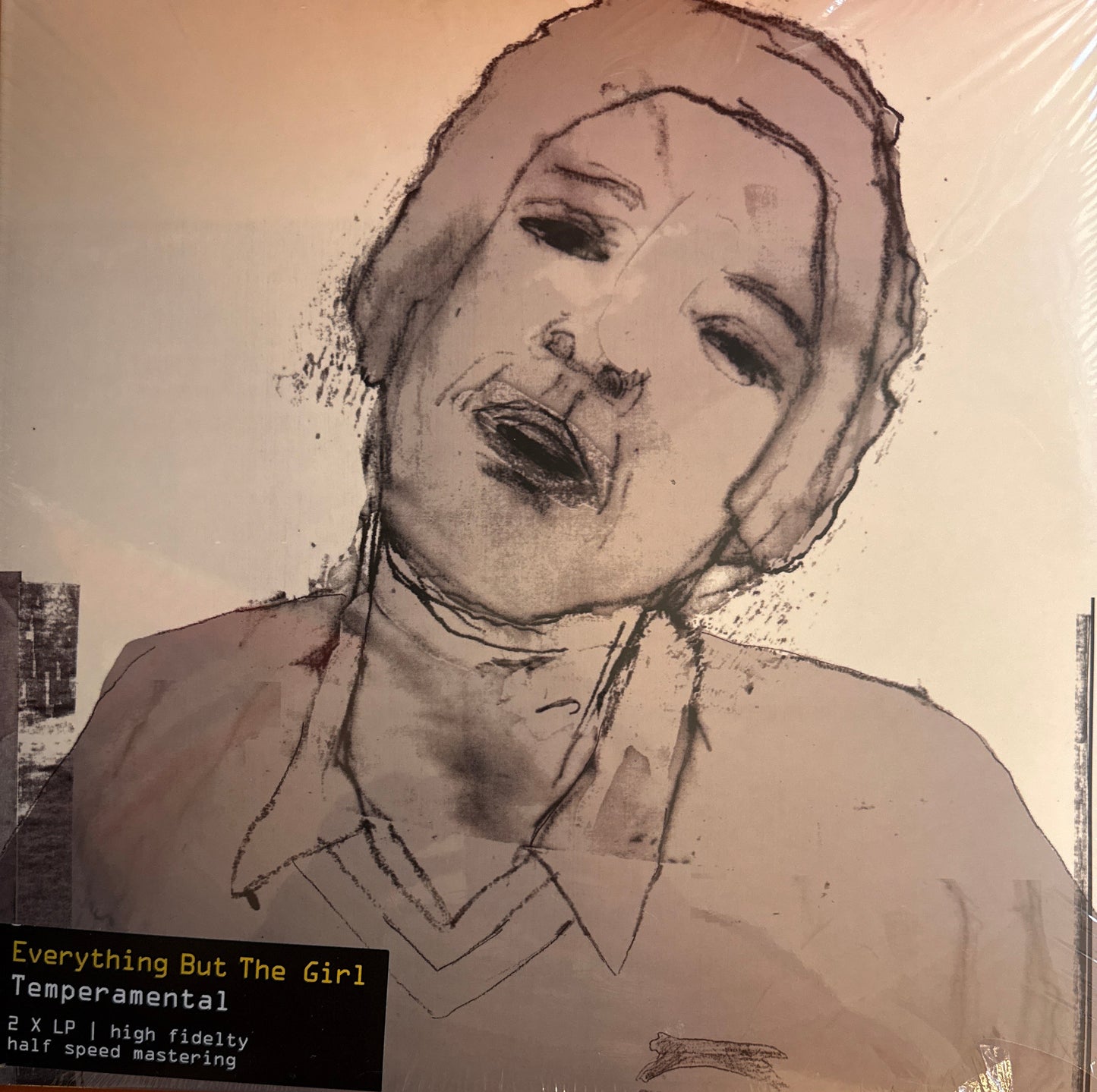 Everything but the girl - Temperamental
