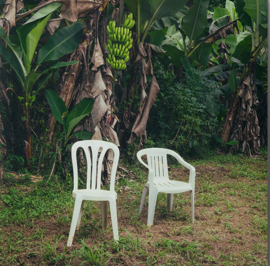 Bad Bunny - Debí tirar mas fotos
