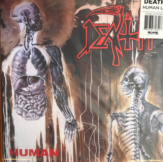 Death - Human