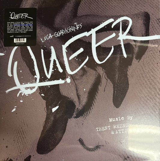 Trent Reznor & Atticus Ross - Queer soundtrack