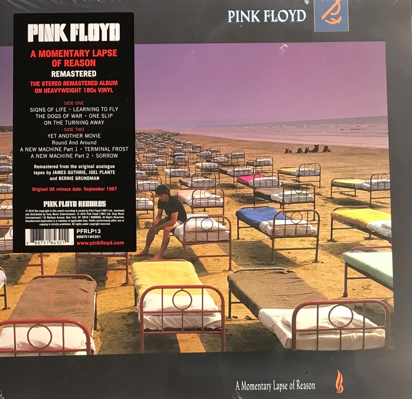 Pink Floyd - A Momentary Lapse of Reason