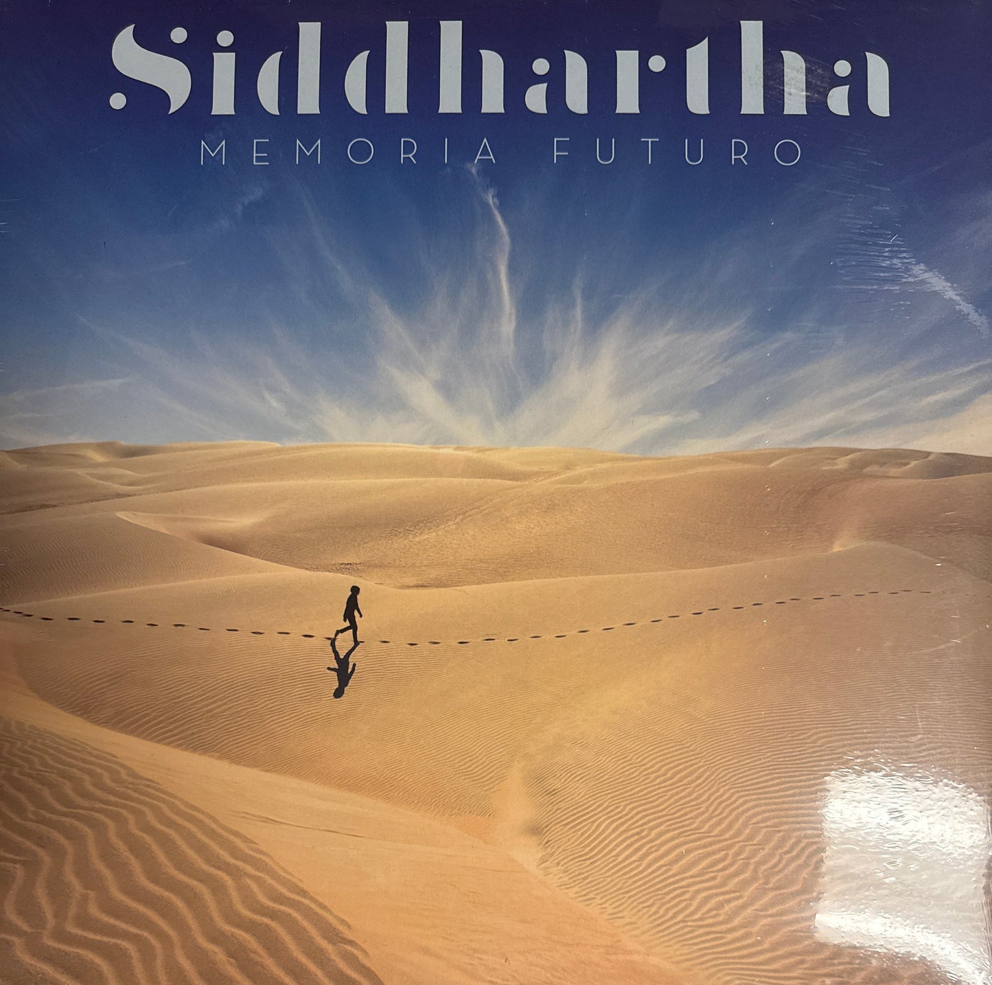 Siddhartha - Memoria Futuro