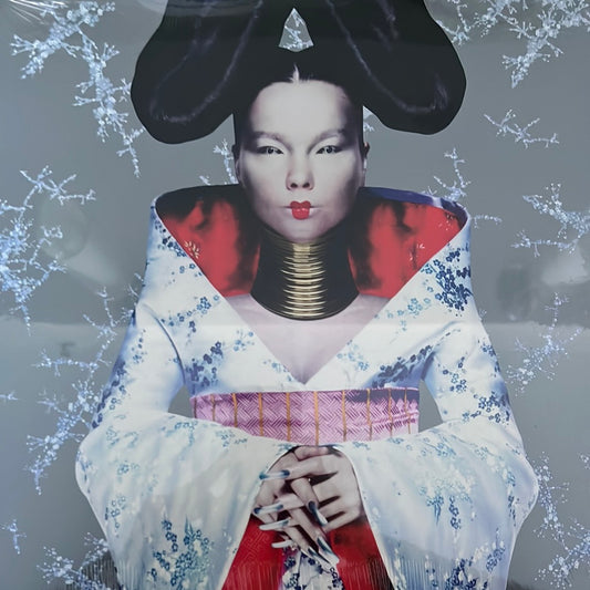 Bjork - Homogenic