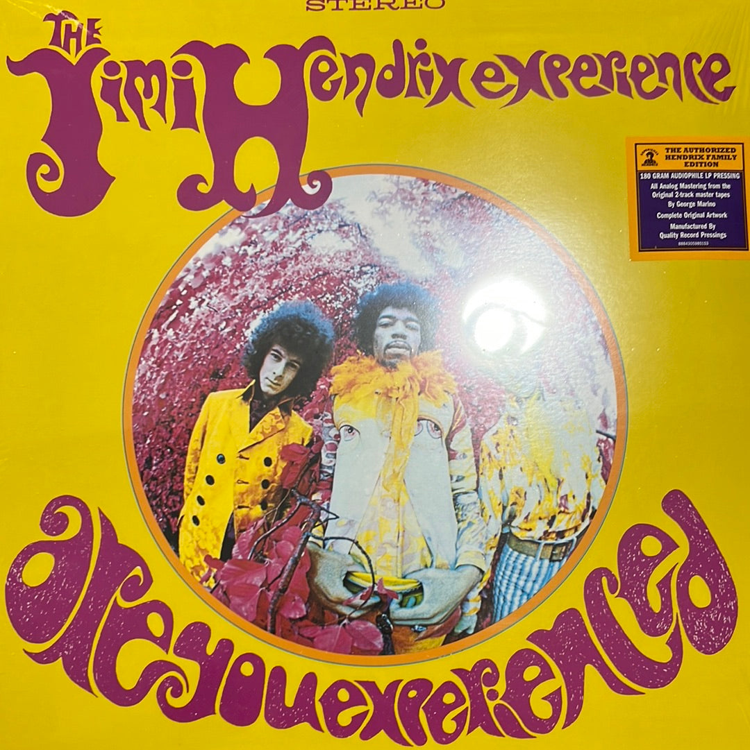 The Jimi Hendrix Experience - are you experienced