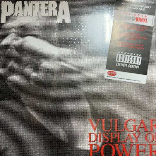 Pantera - Vulgar Display of Power